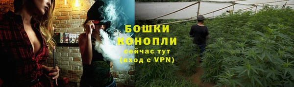 прущий лед Абаза